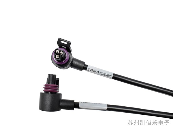 德尔福线束