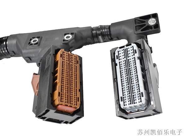 安波福线束