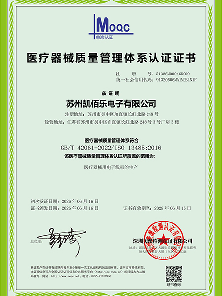 ISO13485证书 中文