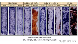 线束加工厂带您一起了解盐雾试验的测试标准