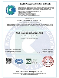 ISO9001英文版