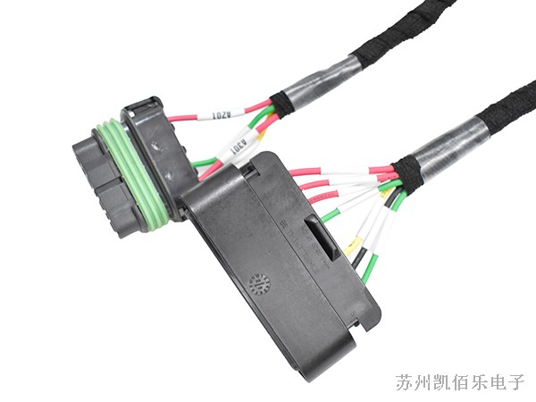 德尔福线束