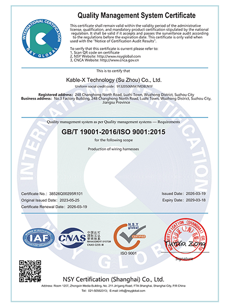 ISO9001